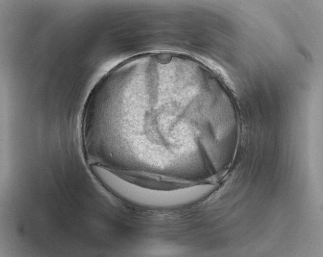 X0000116641231201001041024