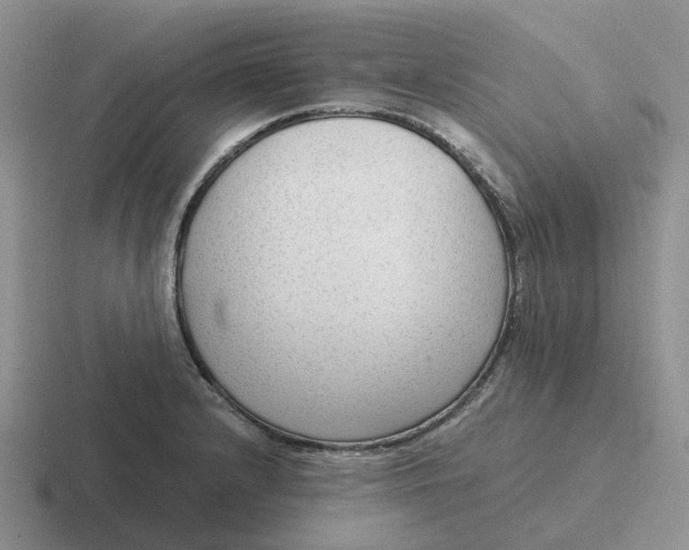 X0000116641232201001041024