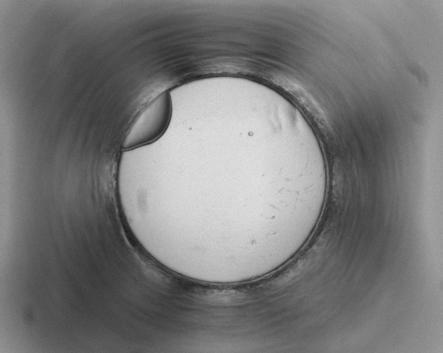 X0000116641233201001041024