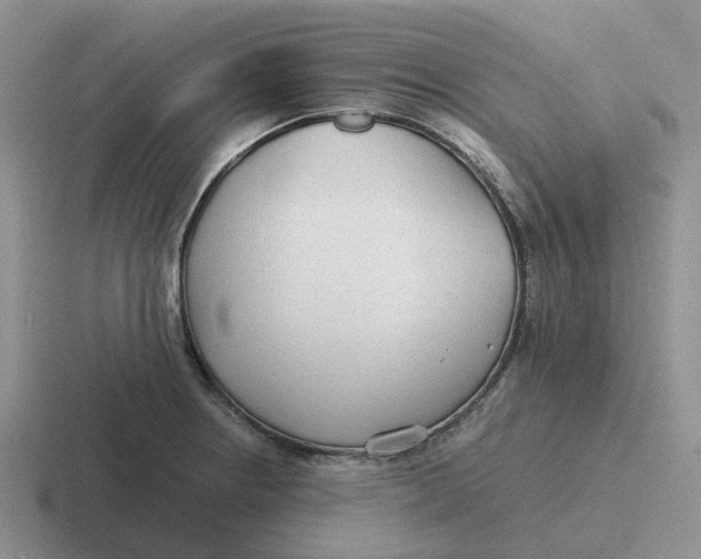 X0000116641234201001041024