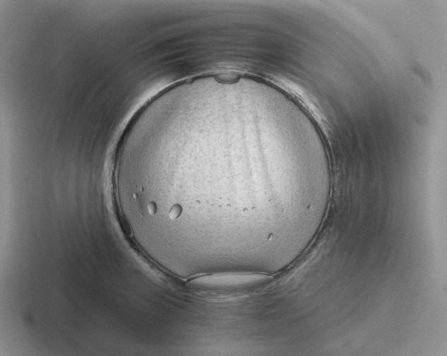 X0000116641235201001041024