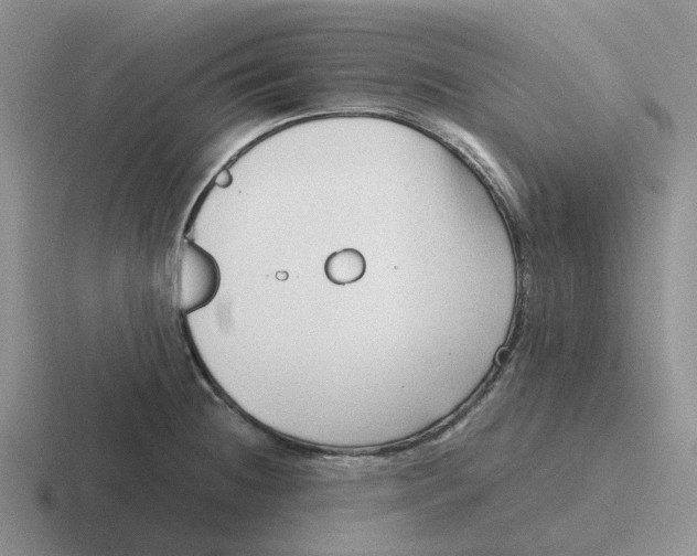 X0000116641236201001041024