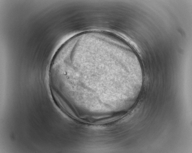 X0000116641239201001041025