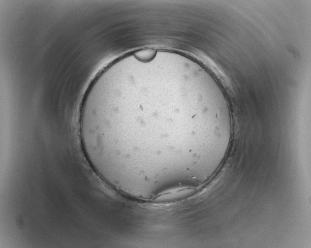 X0000116641240201001041025