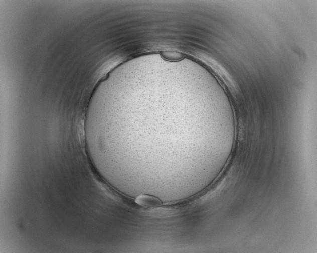 X0000116641241201001041025