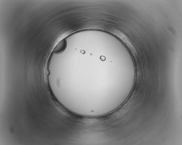 X0000116641242201001041025