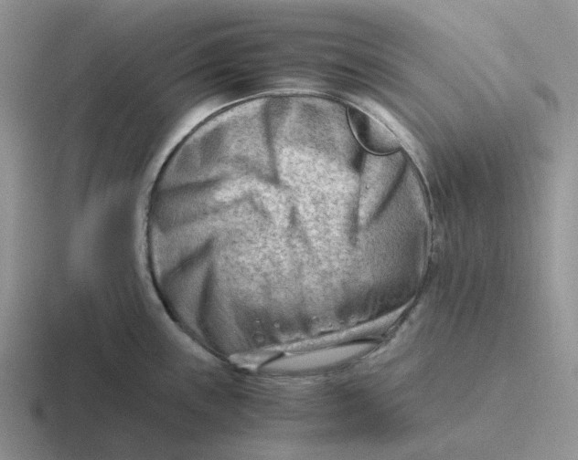 X0000116641243201001041025