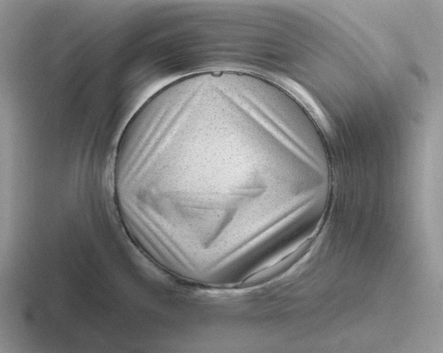 X0000116641244201001041025