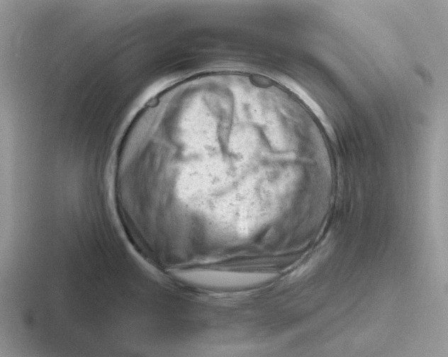 X0000116641245201001041025