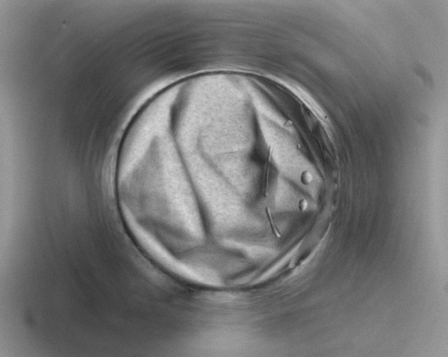 X0000116641246201001041025