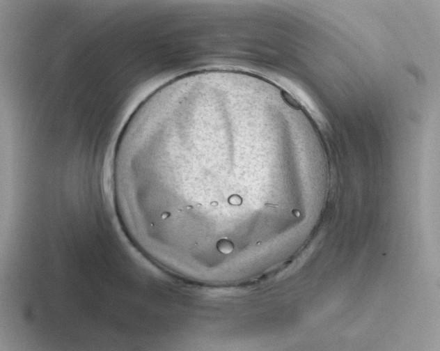 X0000116641247201001041025