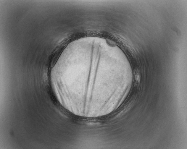 X0000116641252201001041024