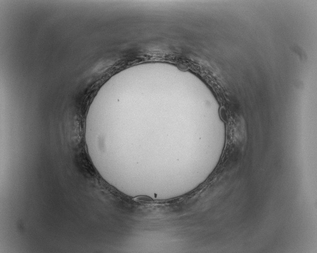 X0000116641253201001041024