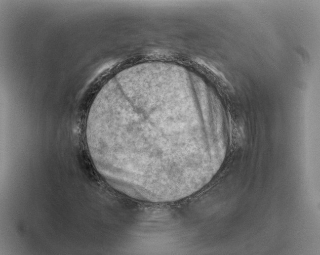 X0000116641254201001041024