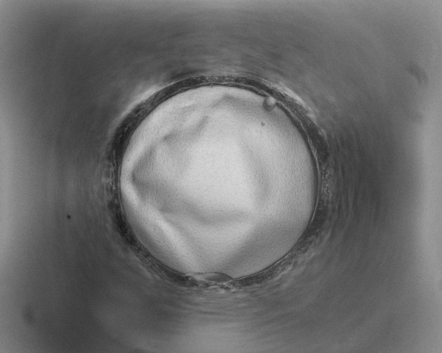 X0000116641255201001041024