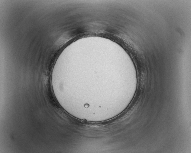 X0000116641257201001041024