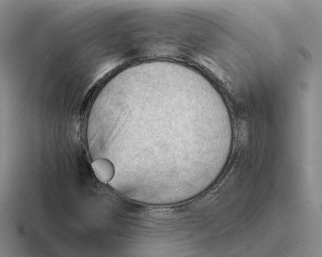 X0000116641258201001041024