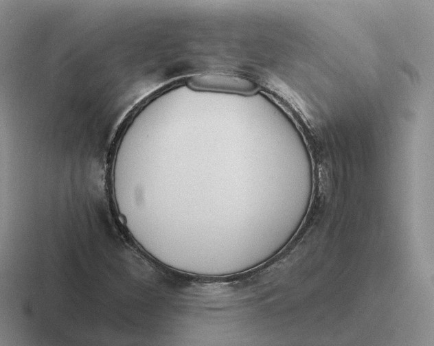 X0000116641260201001041024