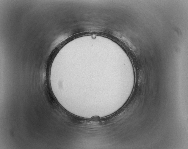 X0000116641261201001041024