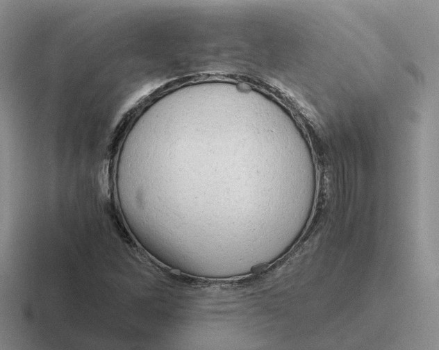 X0000116641262201001041024