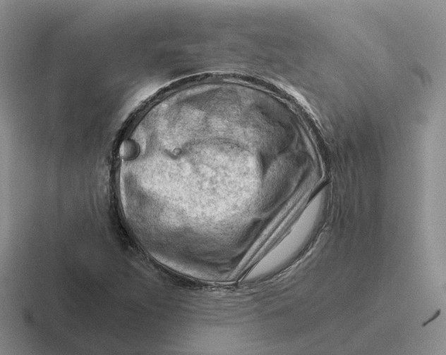 X0000116641263201001041024