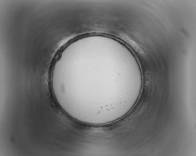 X0000116641264201001041024