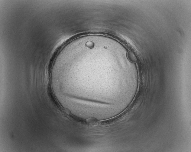 X0000116641267201001041024