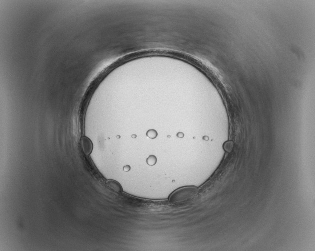 X0000116641271201001041024