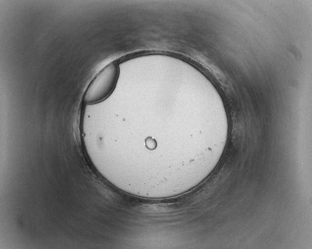 X0000116641272201001041024