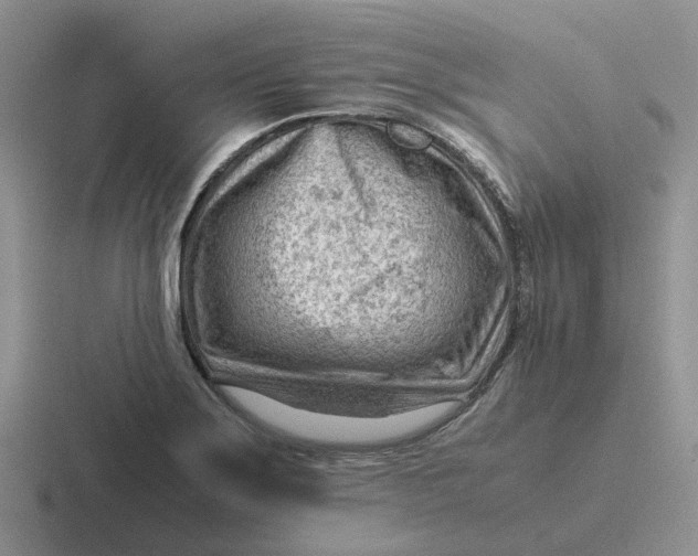 X0000116641275201001041024