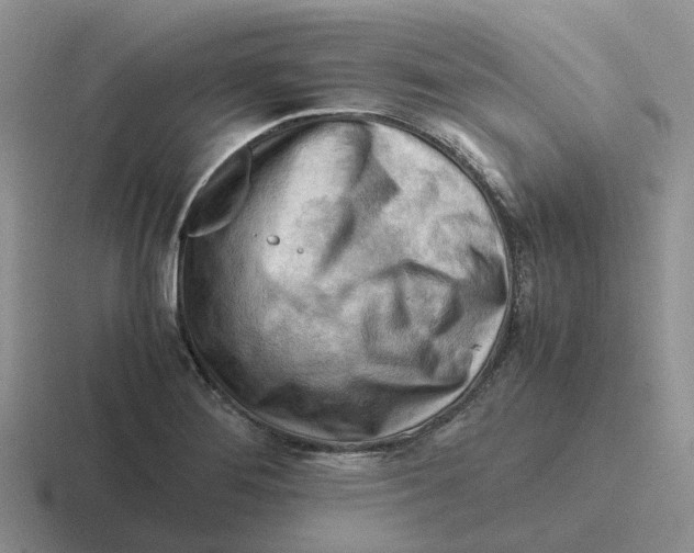 X0000116641276201001041024