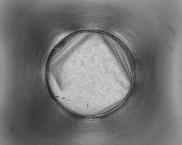 X0000116641277201001041024