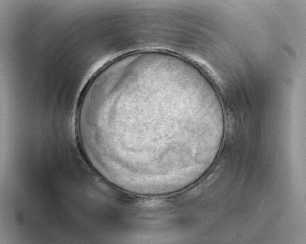 X0000116641278201001041024