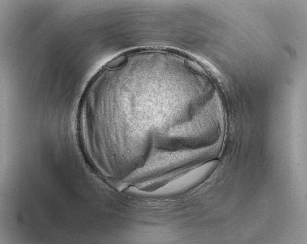 X0000116641279201001041024