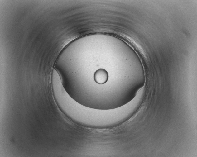 X0000116641281201001041024