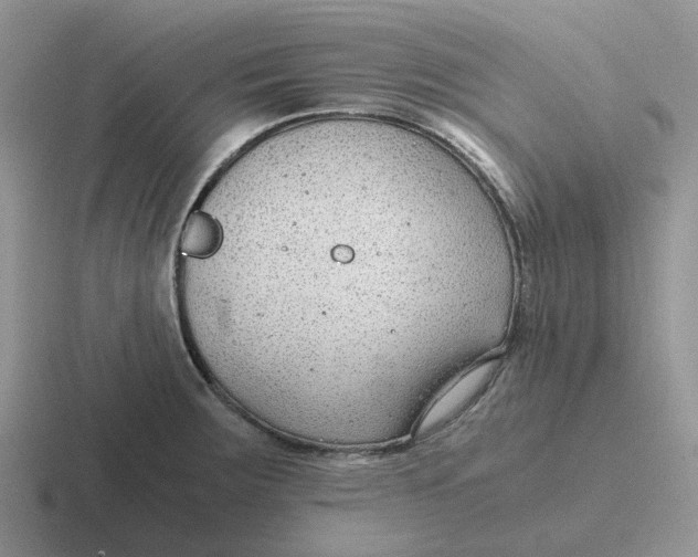 X0000116641283201001041024