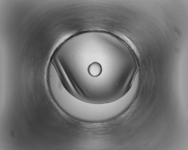 X0000116641285201001041024