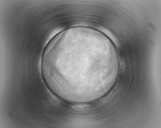 X0000116641290201001041023