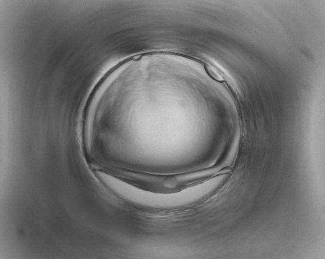 X0000116641291201001041023