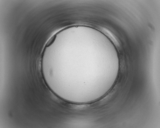 X0000116641292201001041023