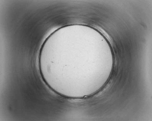 X0000116641293201001041023