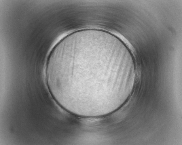 X0000116641294201001041023