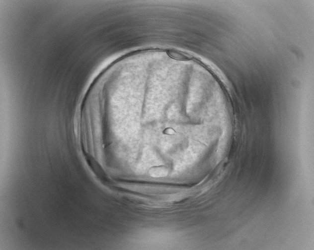 X0000116641295201001041023