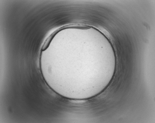 X0000116641296201001041023