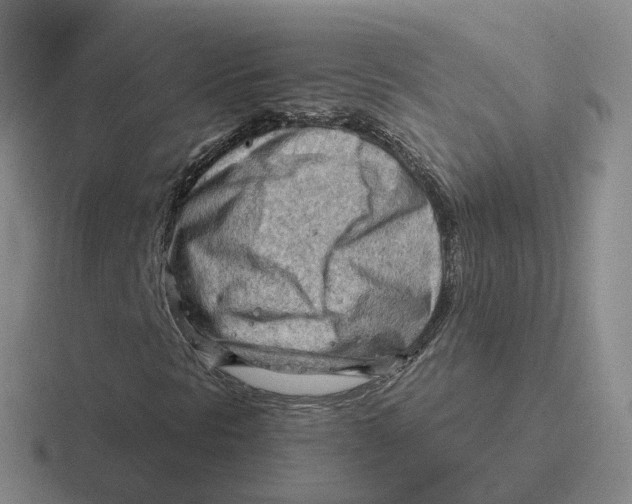 X0000116641297201001041023