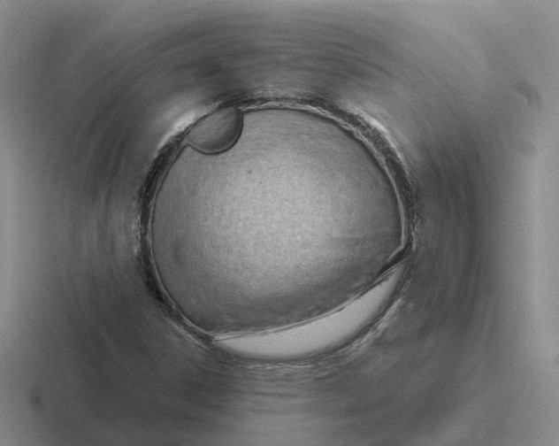 X0000116641306201001041023