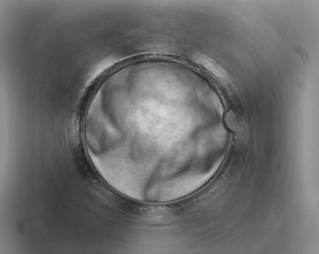 X0000116641310201001041023