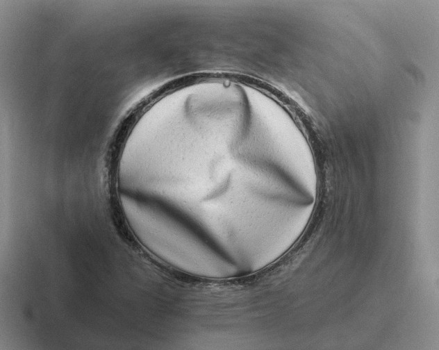 X0000116641311201001041023