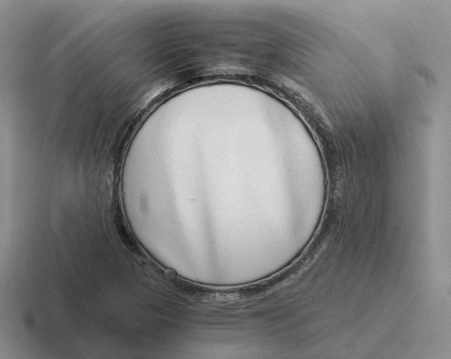 X0000116641313201001041023