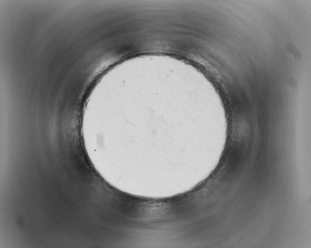 X0000116641314201001041023